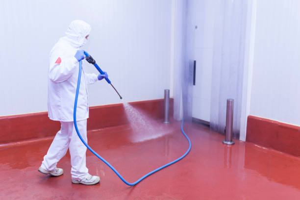 Best Commercial Pressure Washing in Rainbow City, AL
