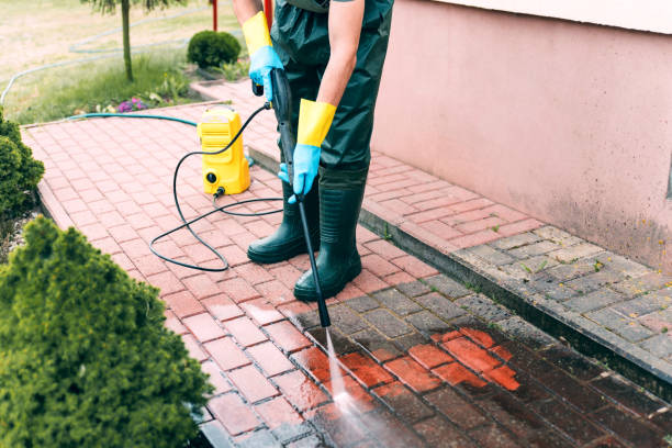Best Building Exterior Pressure Washing in Rainbow City, AL