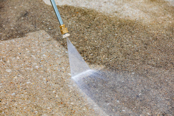 Best Residential Pressure Washing in Rainbow City, AL